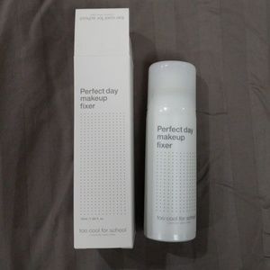 Perfect day makeup fixer